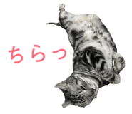 808648496