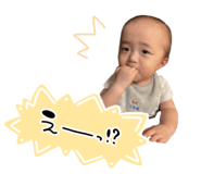 808661925