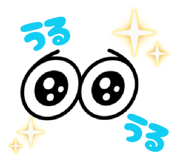808673584