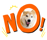 808689657