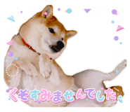 808689662