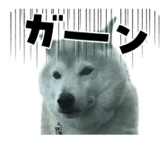 808689664