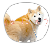 808689670