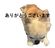808696251