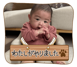 808701144