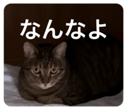 808702208