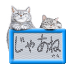 808702692