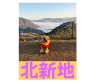 808711858