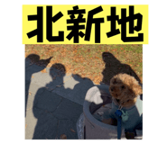 808711861