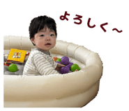 808713068