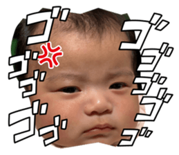 808737321