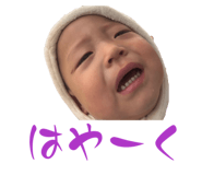808738894