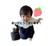 808742493