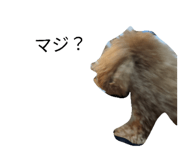808751541