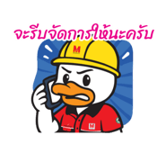 808751842