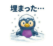 808753646