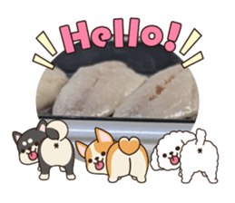 808758823