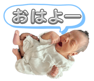 808759387