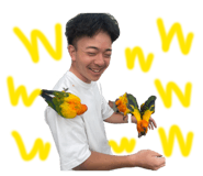 808759606