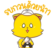 808761684