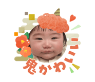 808762594