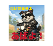 808764539