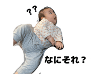 808766195