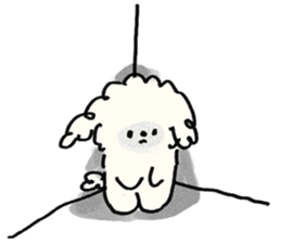 ลายที่ 27