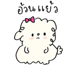 ลายที่ 43