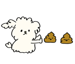 ลายที่ 71