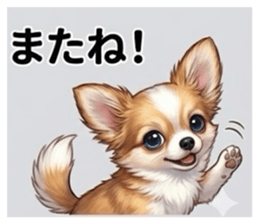 808794672