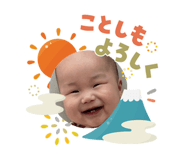808796626