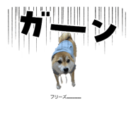 808800345