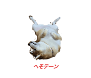 808800346