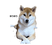 808800347