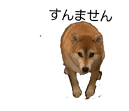 808800348