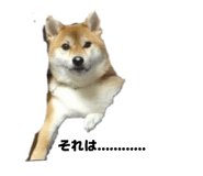 808800352