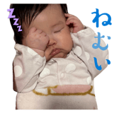 808803235