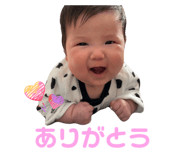 808803238