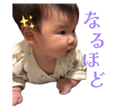 808803241