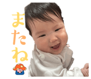 808803246