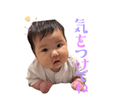 808803247