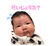 808803255