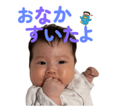 808803257