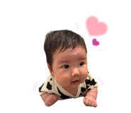 808803263