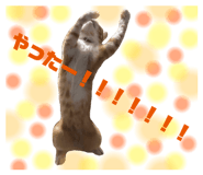 808806956
