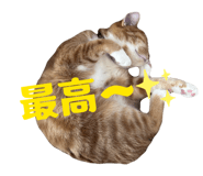 808806960