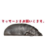 808806962