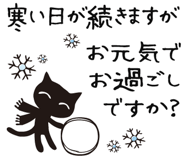 808813444