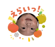 808814716